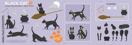 Cute Black cat, Halloween scene vector character with multiple poses ready to animate and rig. Spooky vectors, halloween character. Cat, kitten holidays. witches broom. 
