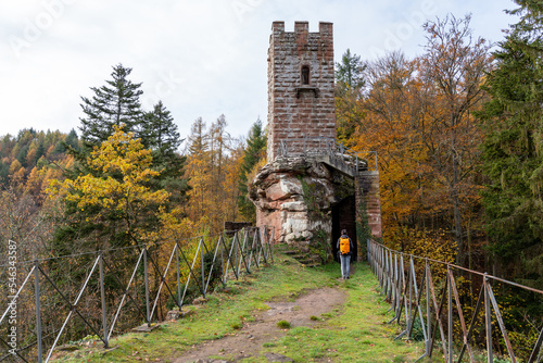 Herbst in der Pfalz photo