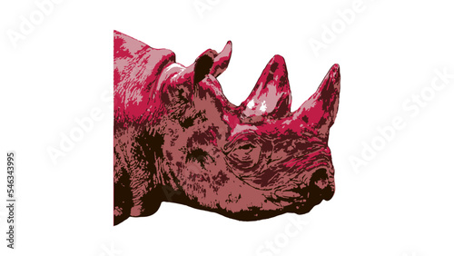 Pop Art Red Rhino haed