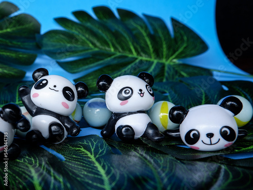Fototapeta Naklejka Na Ścianę i Meble -  The cuteness of the little pandas in the forest