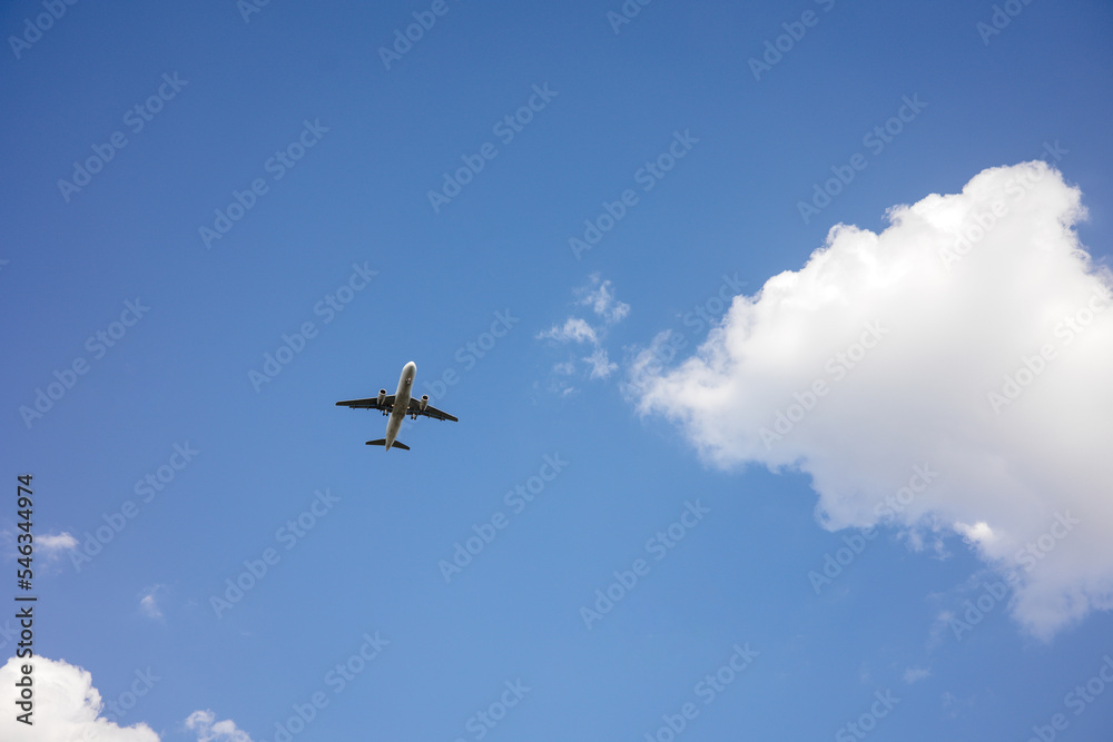 Fototapeta premium airplane in the sky