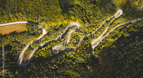 Panoramic overhead photograph of a winding mountain pass road. Dangerous curves crossing a green forest.