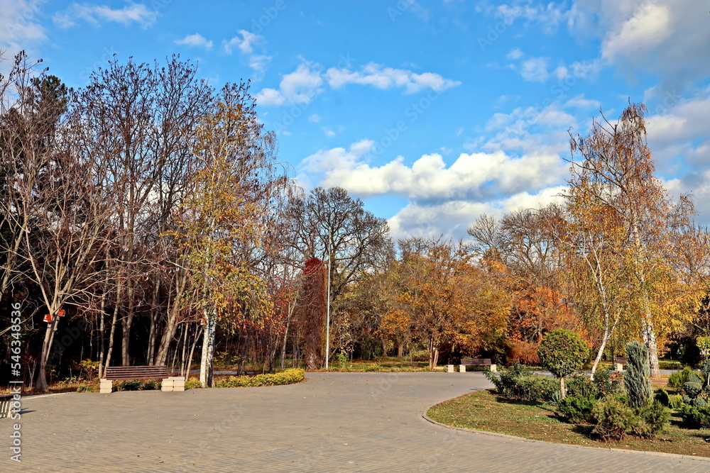 Landscape autumn views of city park with beautiful lake. Citizens relax in nature. Odessa, Ukraine. 