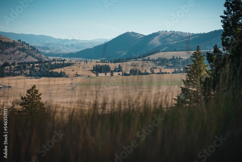 Brown fields and mountains seen behind tall grass in Montana  USA