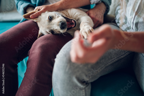 Tableau sur toile Couple petting their adopted dog while sitting on the couch at home