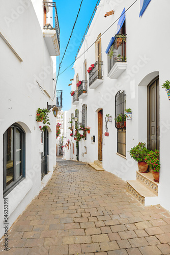 Fototapeta Naklejka Na Ścianę i Meble -  Beautiful street with flowerpots in the village of Mojacar. Spain