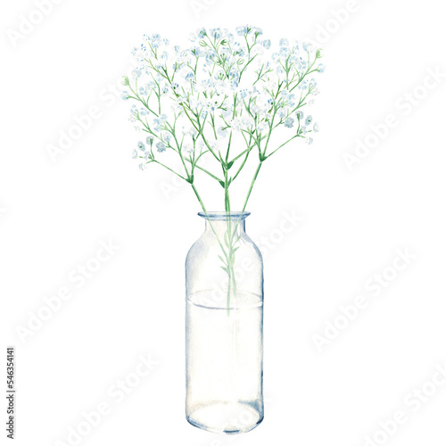 Gypsophila branches, baby breath in vase, bottle, jar. Watercolor hand drawn botanical illustration isolated on white background. Eco minimalistic style for greeting card, poster.