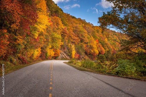 Colors of Autumn along winding road