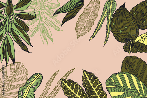 hand drawn tropical leaves background vector design illustration
