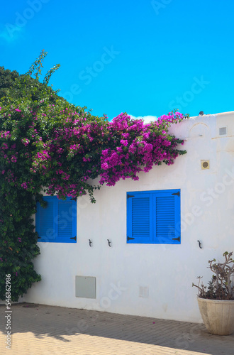 White wall with blue shutters and purple Bougainville in Agua Amarga, Spain