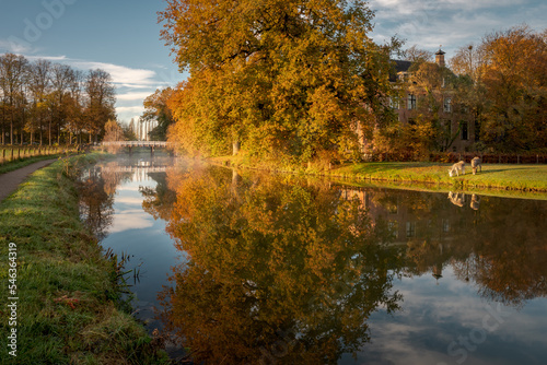 Fototapeta Naklejka Na Ścianę i Meble -  Background with autumn trees and water. Rhijnauwen located in Bunnik in the Dutch province of Utrecht.