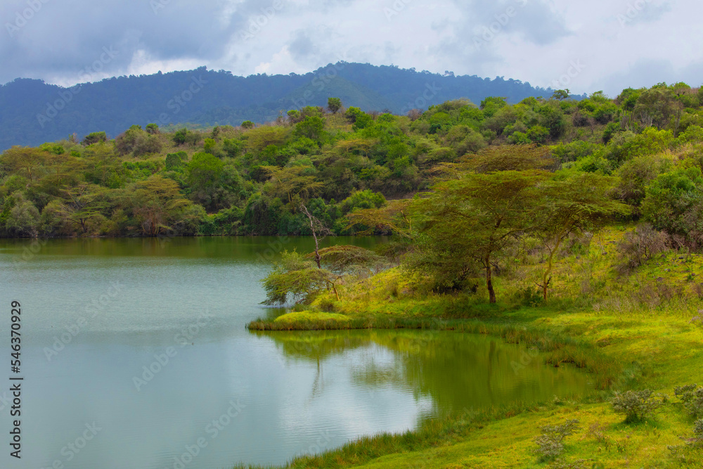 wild and beautiful African landscape with a tree over the lake.Tanzania. wild and beautiful African landscape with a tree over the lake.Tanzania.