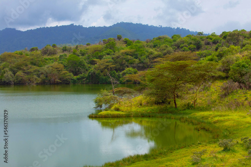 wild and beautiful African landscape with a tree over the lake.Tanzania.