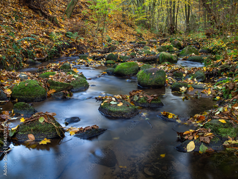 rzeka w kolorach jesieni - obrazy, fototapety, plakaty 
