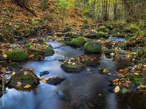 rzeka w kolorach jesieni