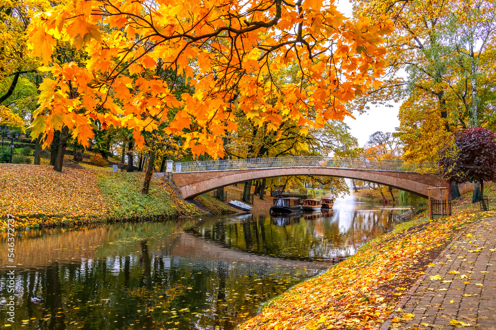 Golden colors of autumn in European public nature park Golden colors of autumn in European public nature park