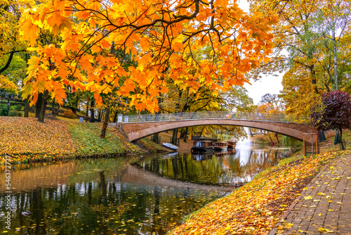Golden colors of autumn in European public nature park © sergei_fish13