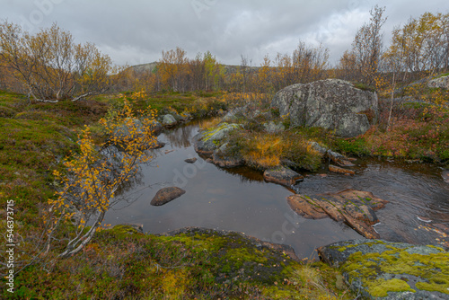 In autumn, tundra with a lake and trees with yellow leaves.