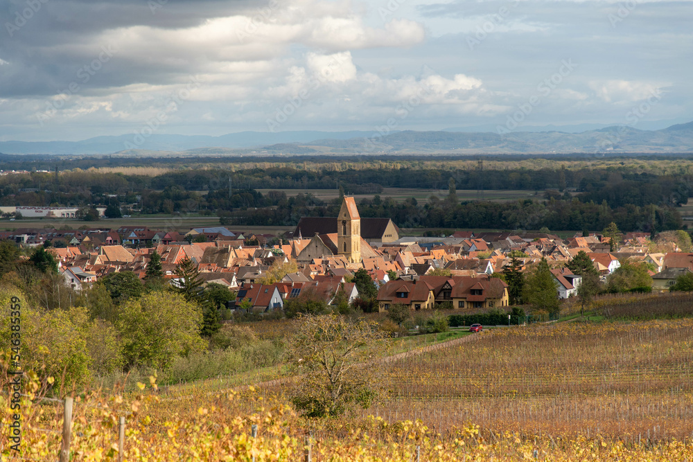 view of the town from a higer point of eguisheim in france