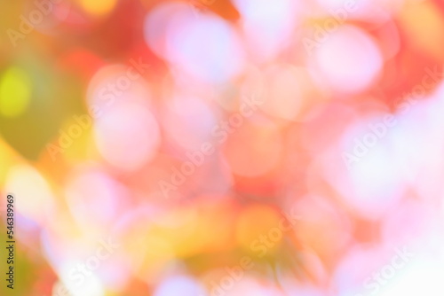 ハナミズキの紅葉のアウトフォーカス