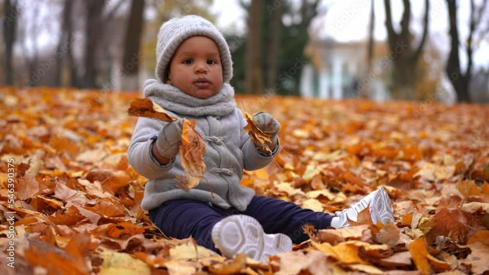 Wide shot carefree child playing with yellow leaves sitting in autumn park and looking at camera smiling. Happy relaxed African American boy posing enjoying weekend leisure outdoors Wide shot carefree child playing with yellow leaves sitting in autumn park and looking at camera smiling. Happy relaxed African American boy posing enjoying weekend leisure outdoors