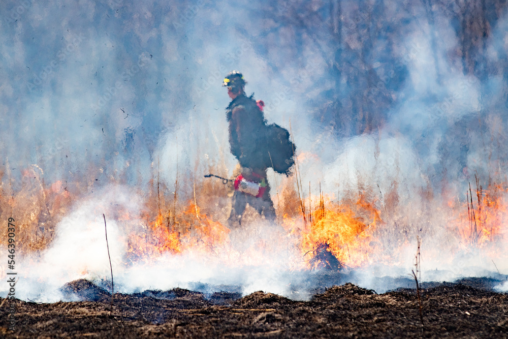 Obraz premium Controlled Burn