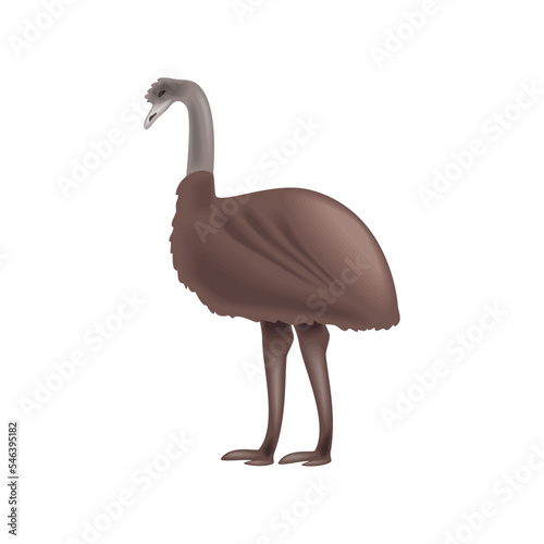 emu animal icon