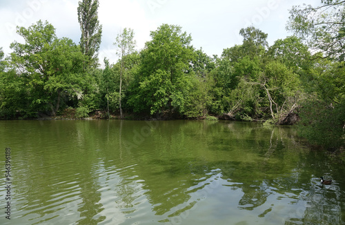 Essigmuehlenweiher in Dreieichenhain