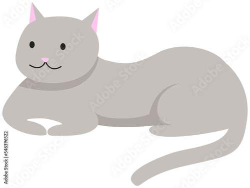 Canvas Print Cute cartoon kitty with gray fur lying side view, pet isolated on white