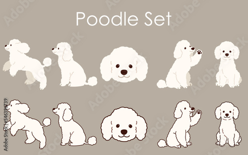 Simple and adorable Poodle set illustrations