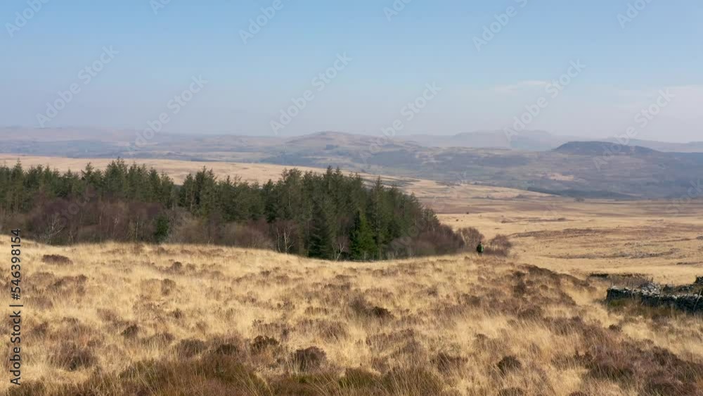 A man walking through dry grass towards a lush green mountain forest A man walking through dry grass towards a lush green mountain forest