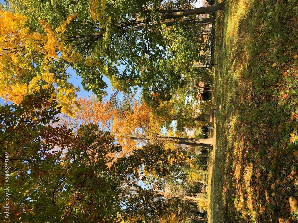 Las