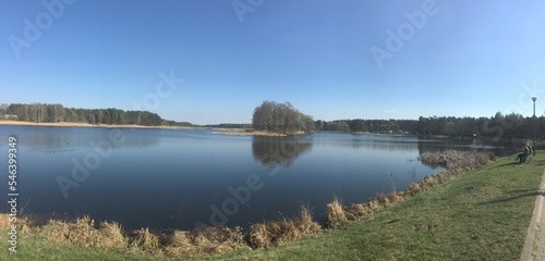 reflection of trees