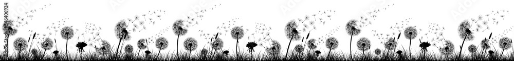 Dandelions, Flowers and Grass High Quality Kitchen Design - Silhouette / Shapes - Black and White Background - obrazy, fototapety, plakaty 