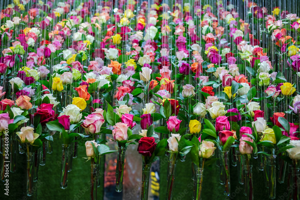Colombia offers a wide range of flowers such as roses, carnations ...