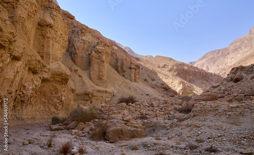 Desert landscape of a dry stream Asa'el in the Judean desert near Dead Sea coast. Impressive high vertical sandstone walls of the canyon.