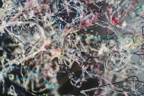 The Microscopic World. Ordinary house dust under the microscope. photo