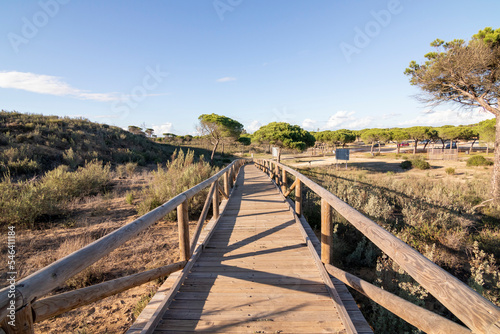 One of the most beautiful beaches in Spain, called (Cuesta Maneli, Huelva) in Spain.  Surrounded by dunes, vegetation and cliffs.  A gorgeous beach. © mialcas