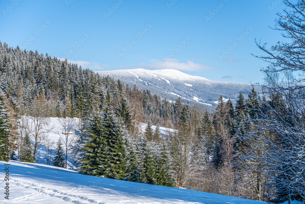 Picturesque wintertime landscape on sunny snowy day. Hilly countryside of Giant Mountains, Czech: Krkonose, Czech Republic