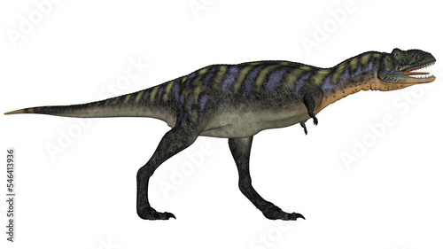 Aucasaurus dinosaur walking roaring - 3D render © Elenarts
