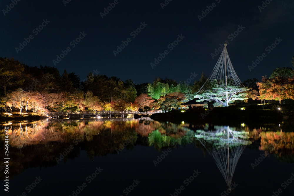 Fototapeta premium marina at night