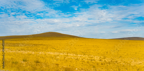 Yellow grassland plain with hills and vibrant blue cloudy sky. Empty Turkish landscape. Bright morning summer scenic view. Horizontal shot. High quality photo