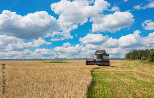 Combine mows wheat. Agricul...