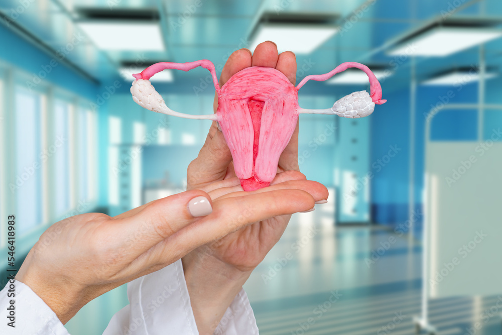 Foto de Woman uterus health. Female reproductive uterus. Human anatomy ...