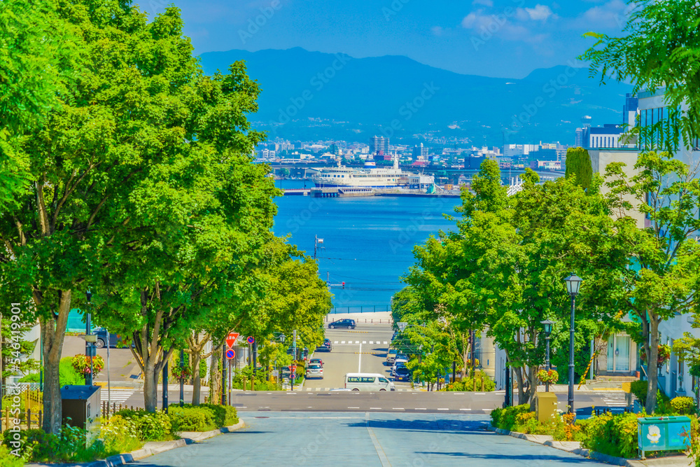 八幡坂(北海道函館市)