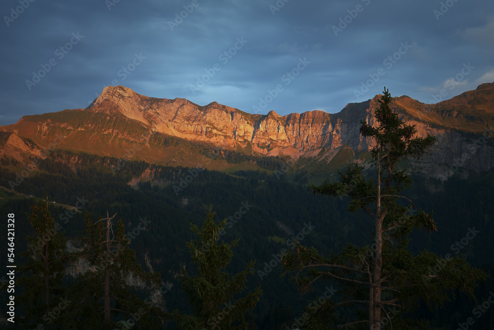 Beautiful morning view of a mountain summit in the Alps illuminated by the light of the rising sun. Pine trees in the foreground. Vacation travel holiday banner. Swiss Alps, Switzerland 