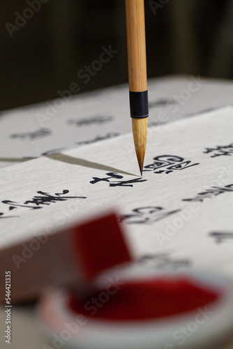 Art of Chinese Calligraphy with writing style