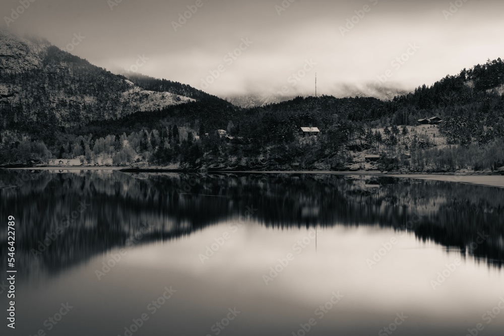 Fototapeta premium Gray-scale shot of a lake surrounded by tree-covered snowy mountains