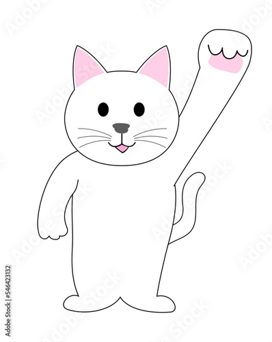 White Kitten with gut pose