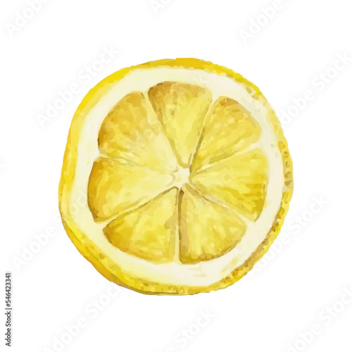 Watercolor lemon. Vector illustration. Hand drawn citrus. Fresh yellow lemon fruit.